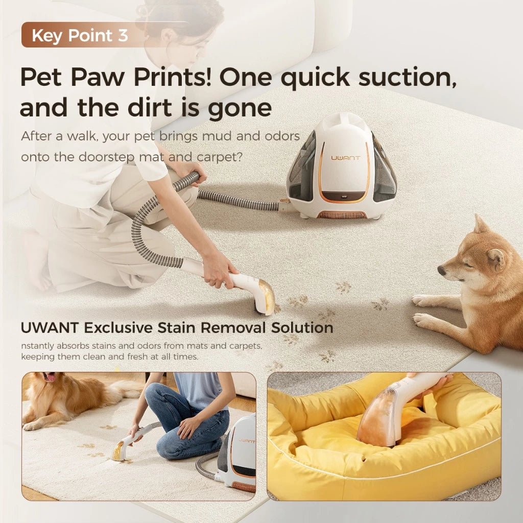 UWANT B100-S Wet & Dry Vaccum Dot Cleaner Bed Sheet Sofa Carpet Cleaner Big Suction